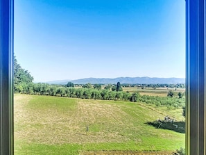 Schwimmbad, Gartenmöbel, Garten, Möbel, Resort, Schatten, Eco Hotel, Hinterhof, Freizeit, Stuhl