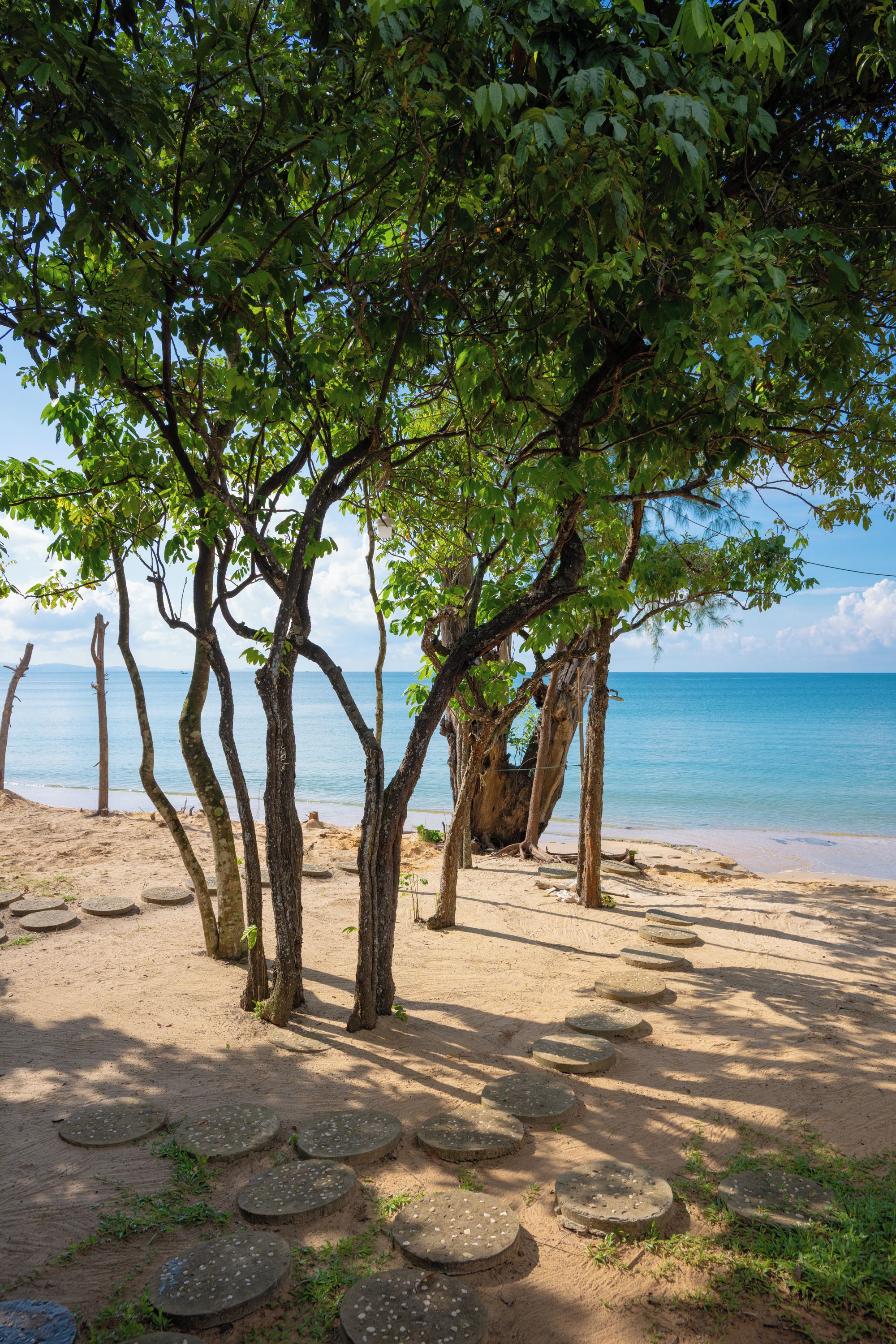 A beach with trees, a clear sky, and a calm sea.