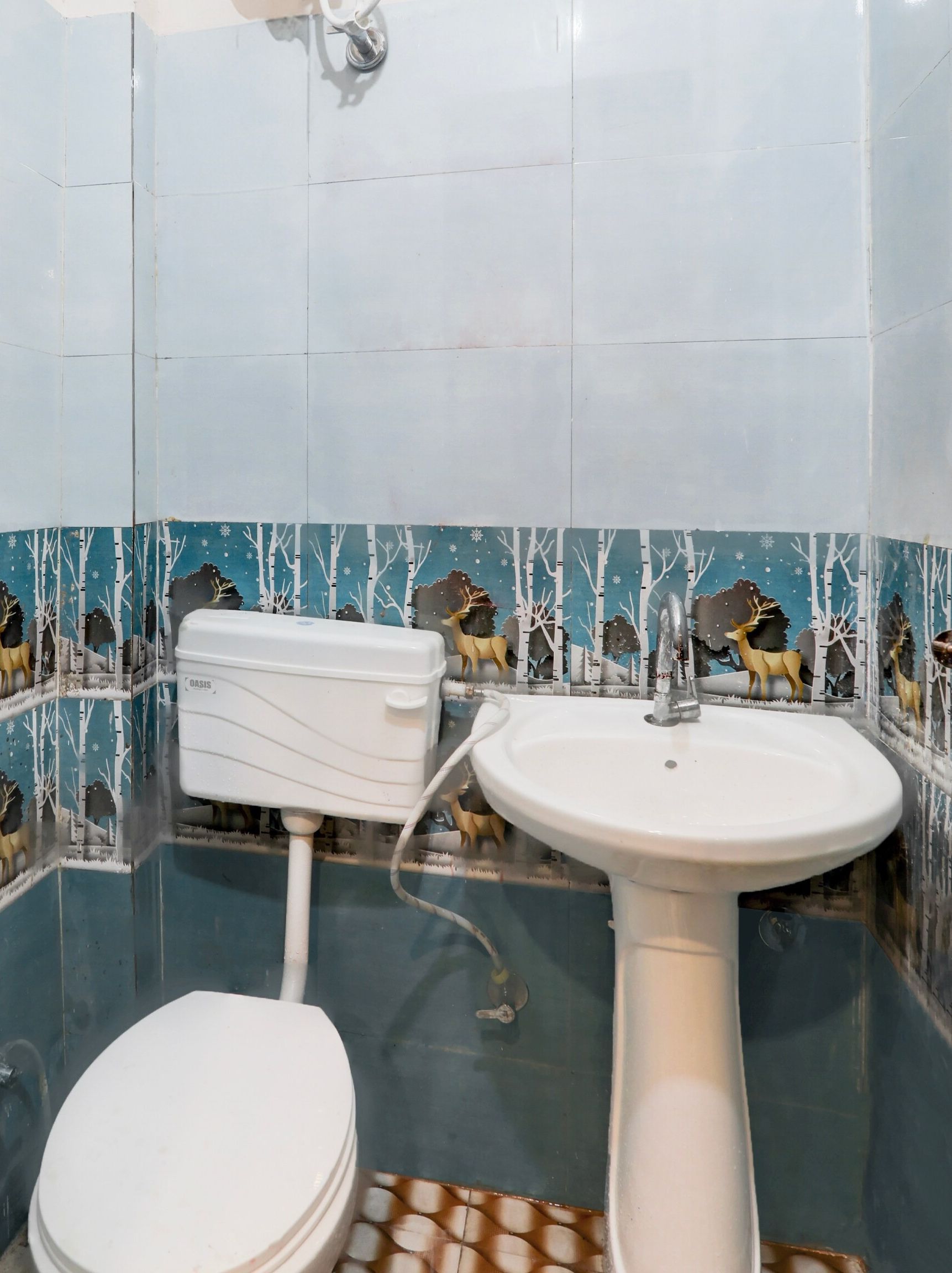 Baño