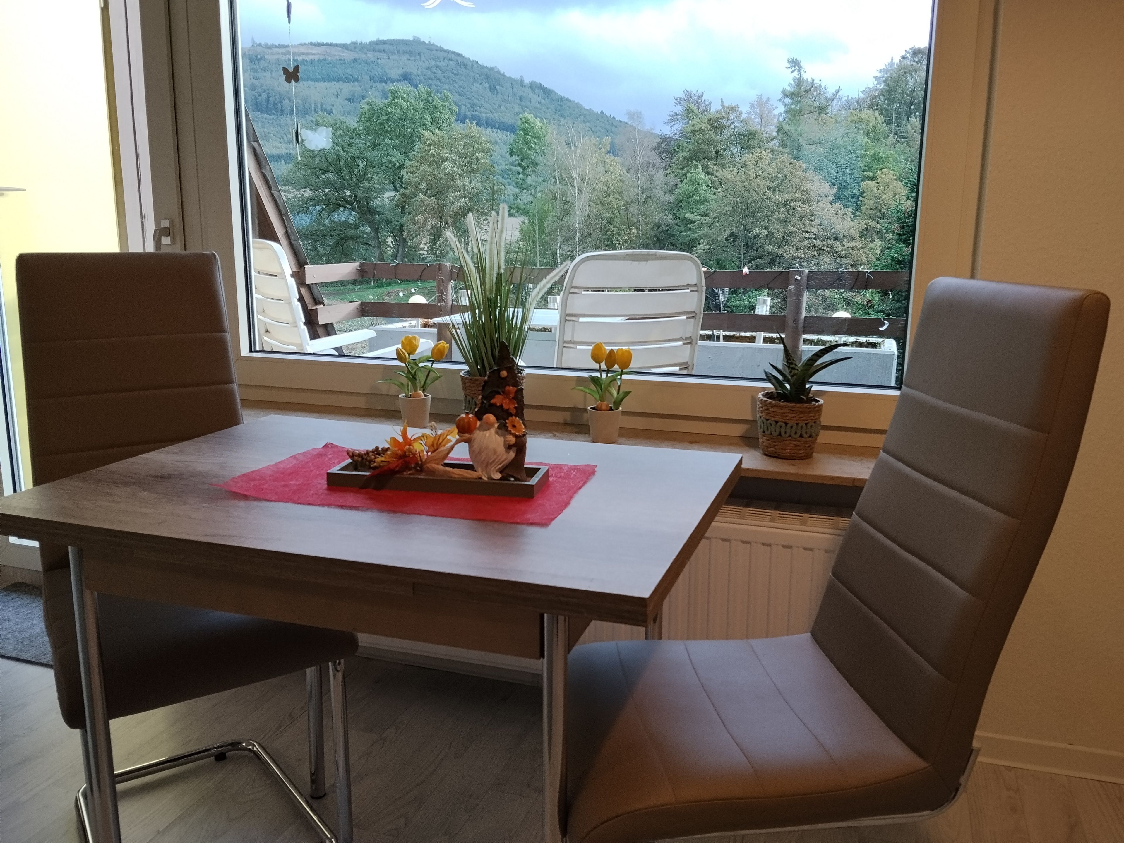 Ein Essbereich mit Tisch und Stühlen, ein Fenster mit Blick auf Bäume und Hügel sowie Blumentöpfe am Fensterbrett.
