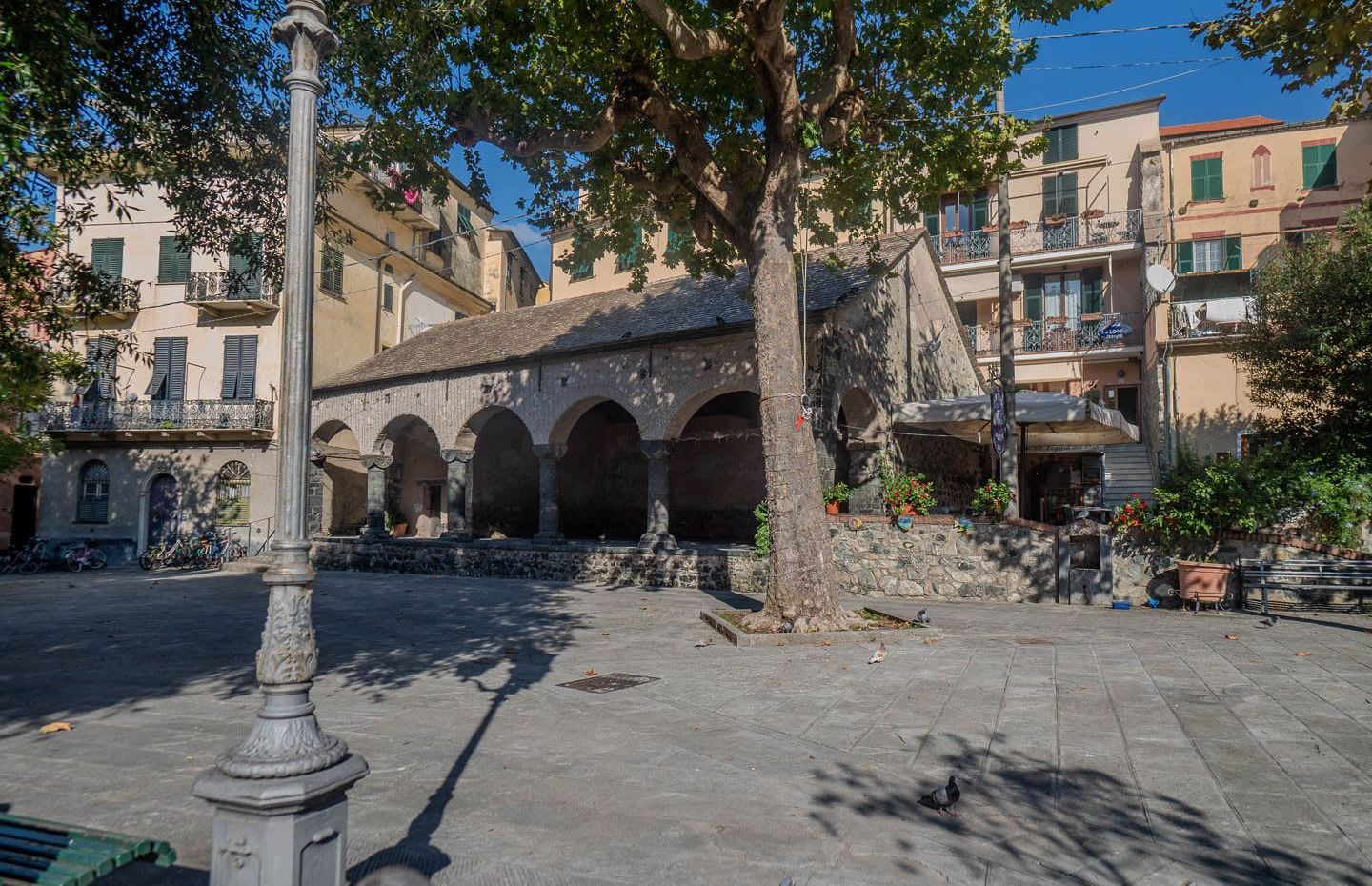 Square with plane trees in Levanto