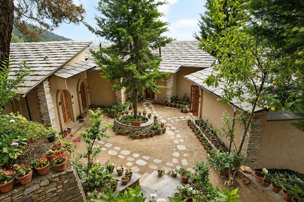 A courtyard with a stone pathway, surrounded by potted plants and trees, leading to a building with a tiled roof.