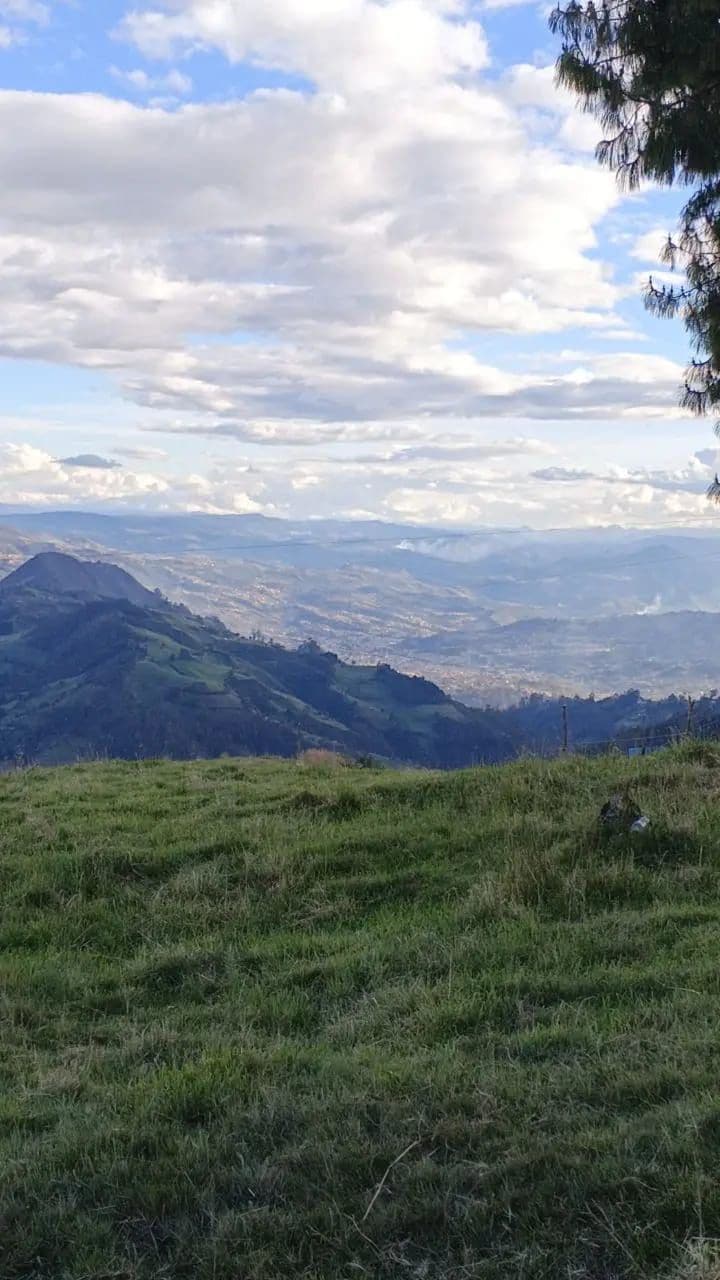 منوع