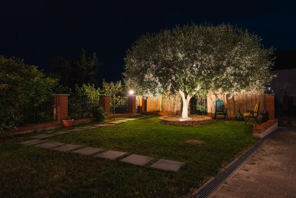 Ein gut beleuchteter Garten mit Baum, Ziegelmauer und Holzzaun.