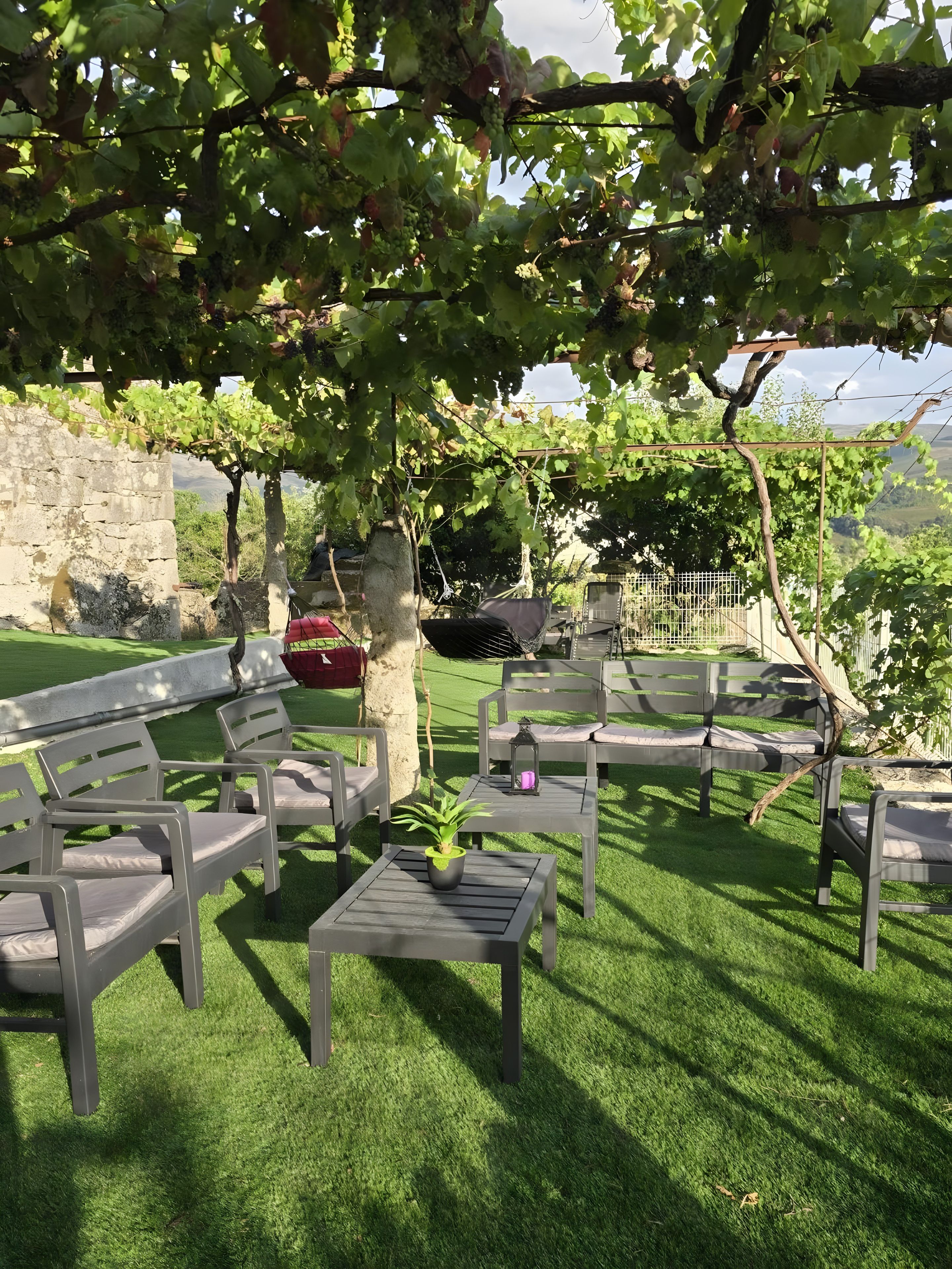 A patio area with outdoor furniture and a view of a vineyard.