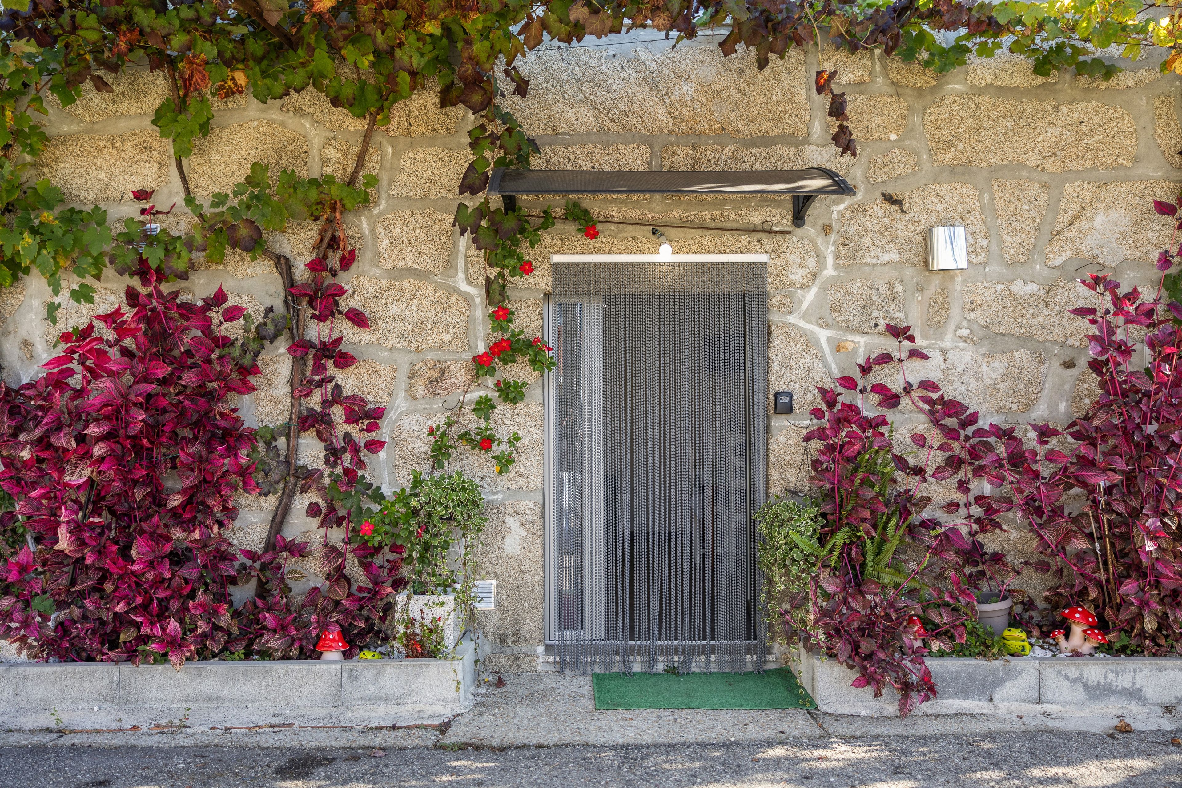 Un mur de pierre avec une porte, entouré de plantes aux feuilles rouges et agrémenté d’un petit tapis vert à l’entrée.