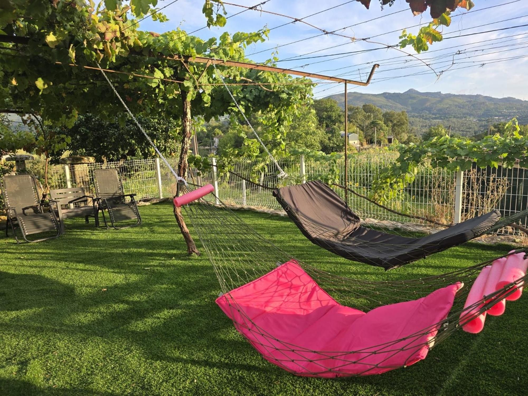 A hammock set up in a grassy area with a view of a vineyard and mountains in the background.