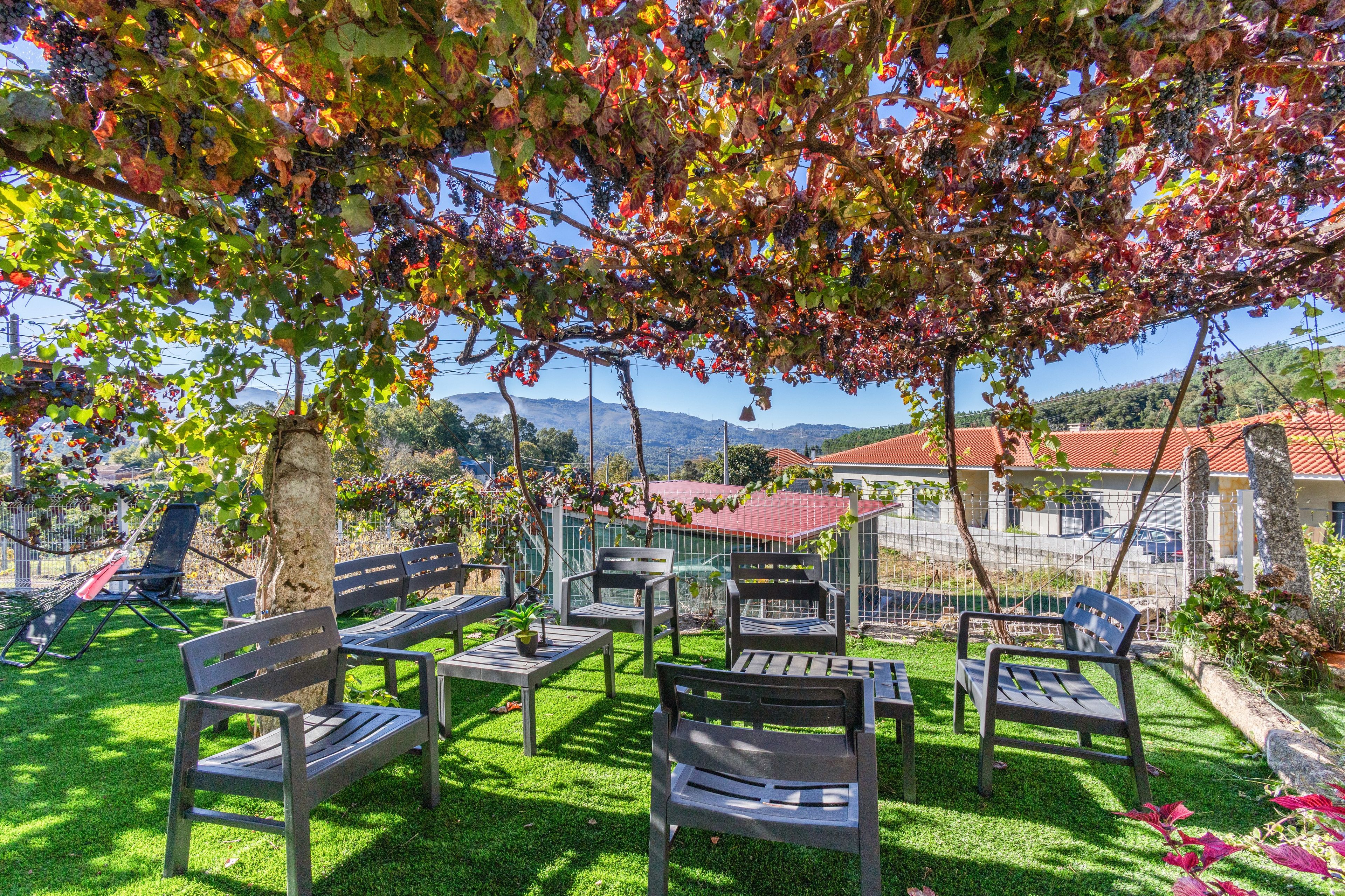 Terras
