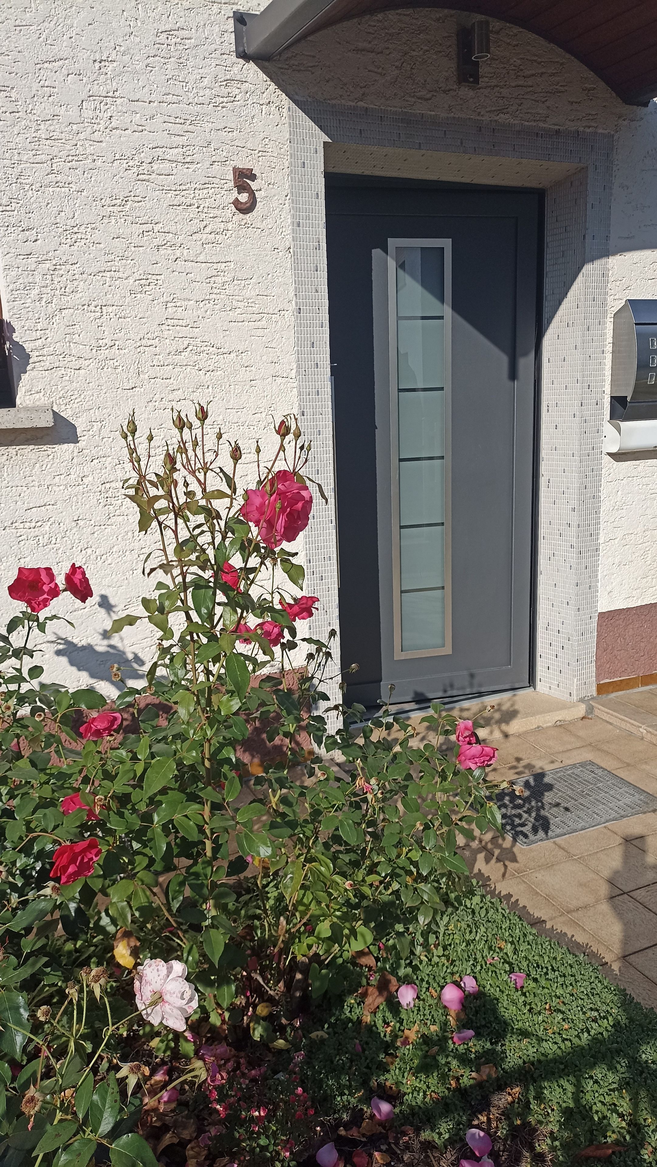 En byggnad med siffran 5 på väggen, en grå dörr och en blomsterrabatt med rosa och vita blommor.