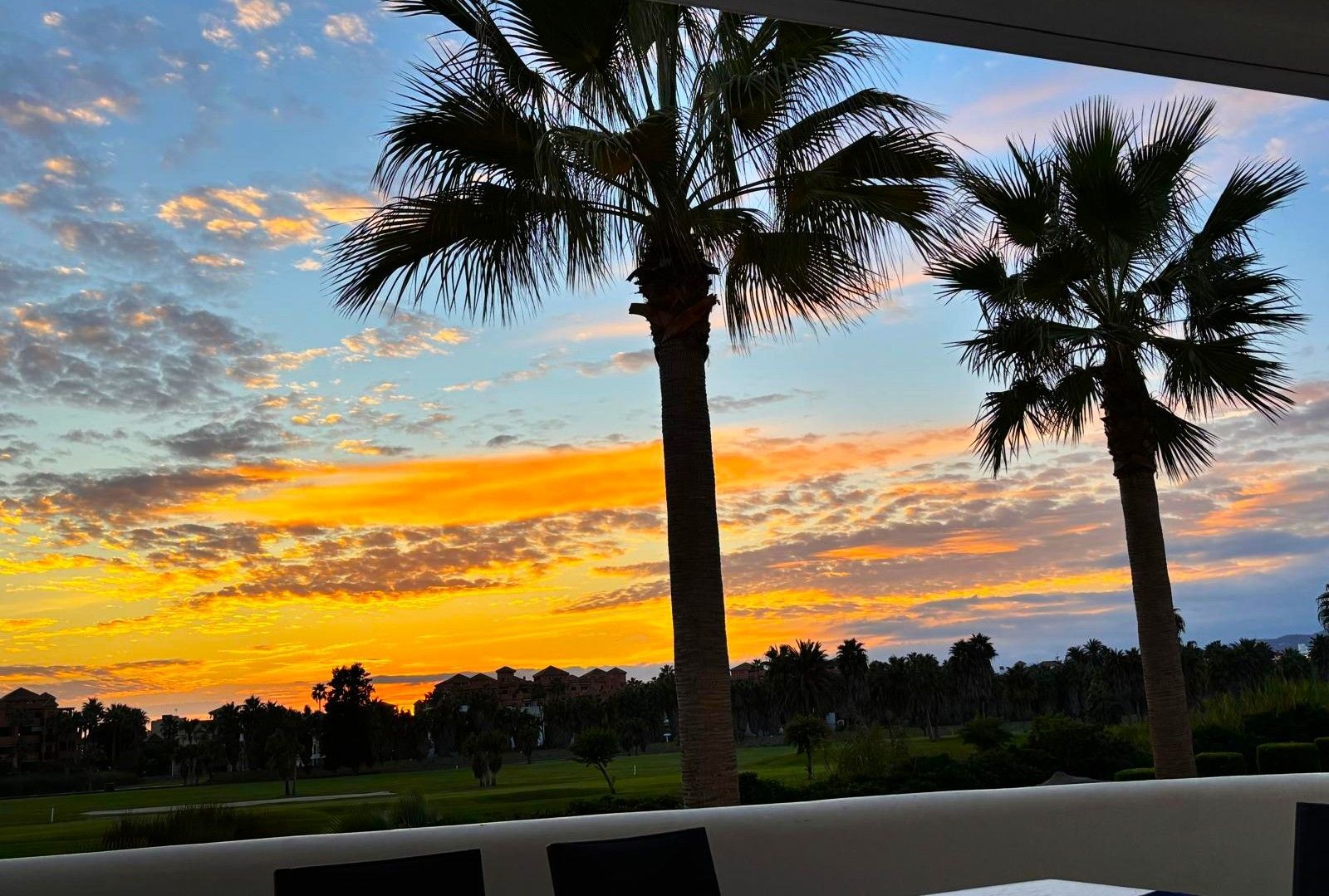 Vista al atardecer con palmeras y un campo de golf.