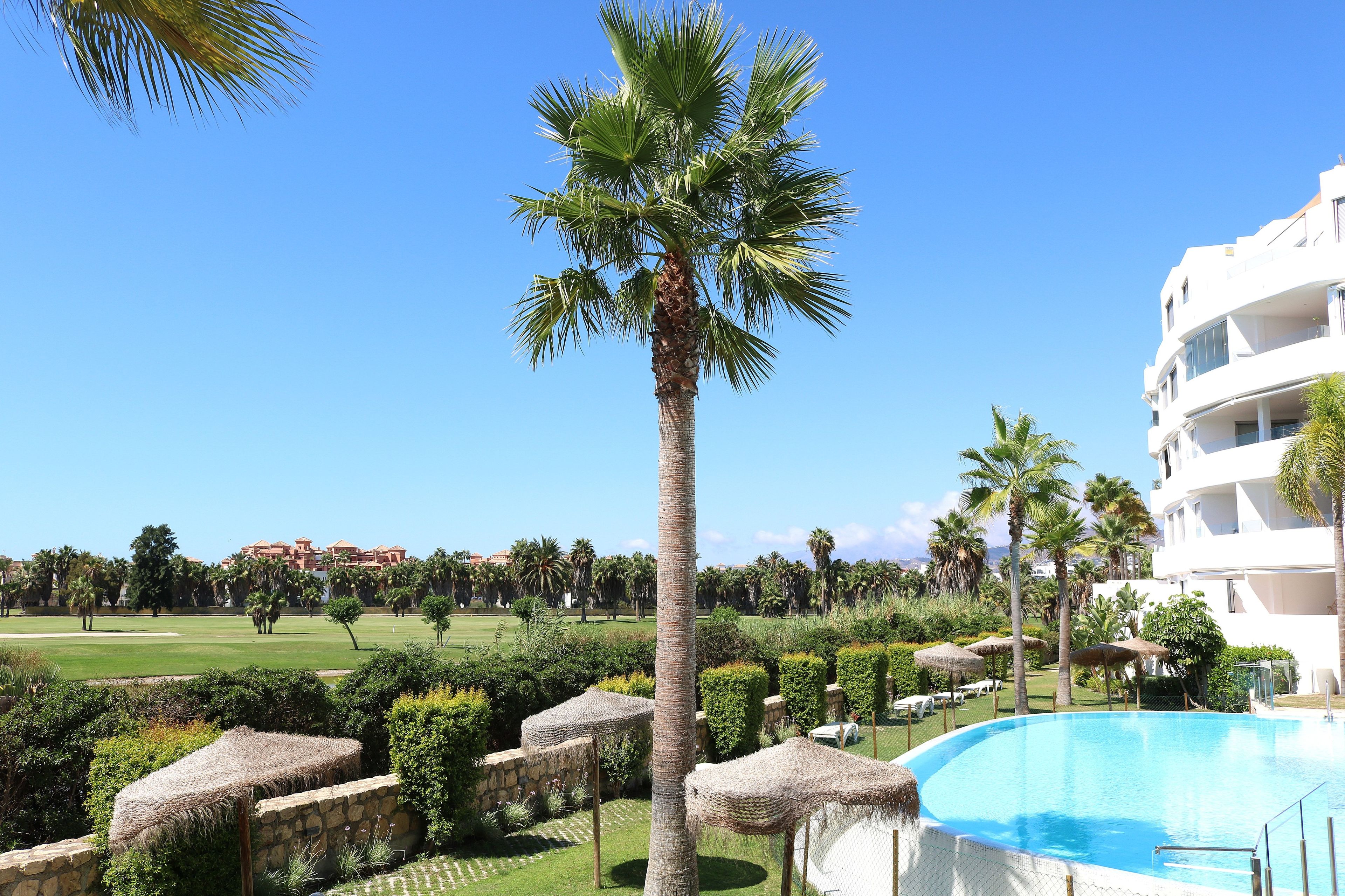 Ein Resort mit Schwimmbad, Palmen und Blick auf einen Golfplatz.