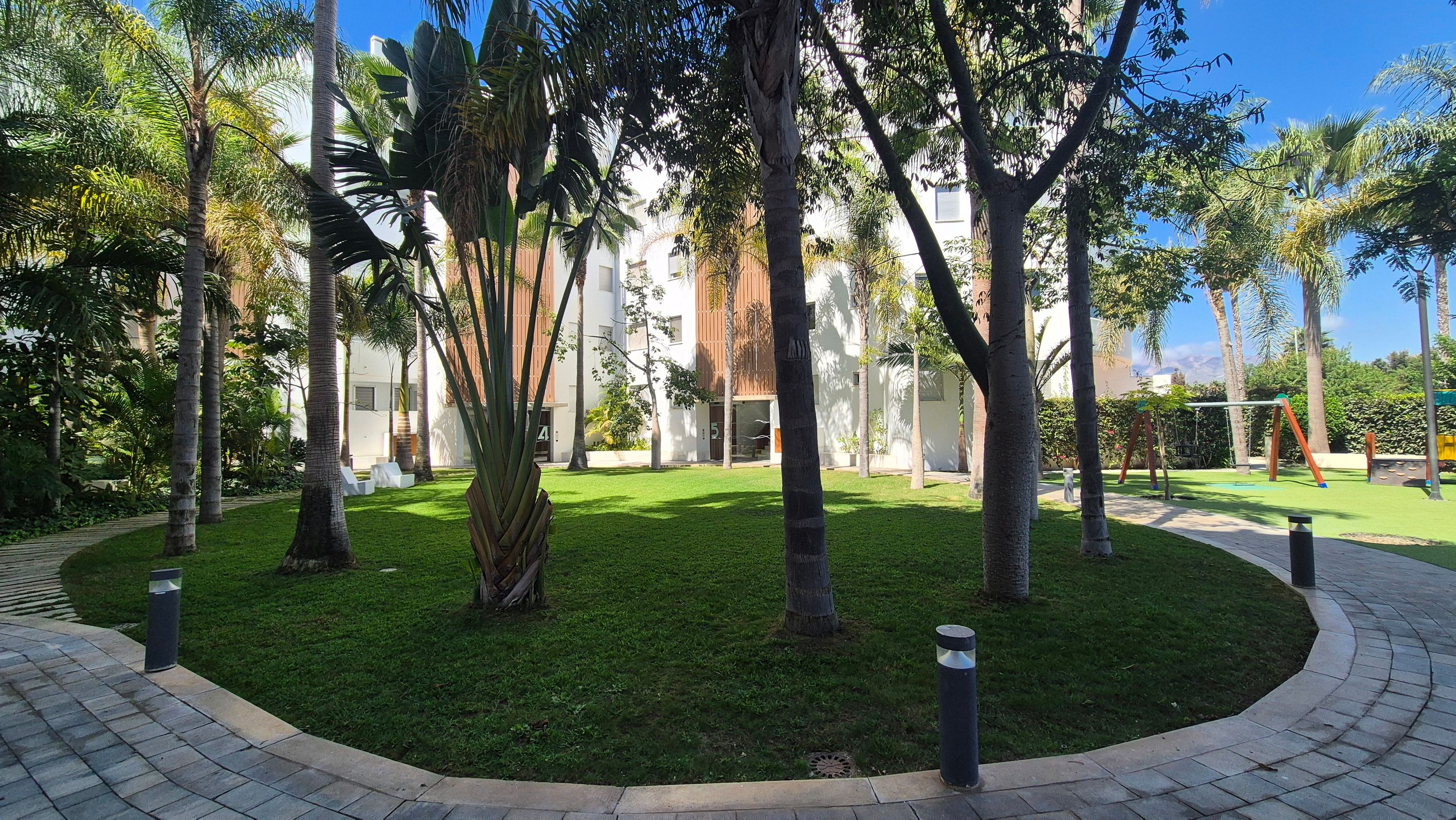 Un jardín ajardinado con palmeras, un camino pavimentado y un edificio de diseño moderno.