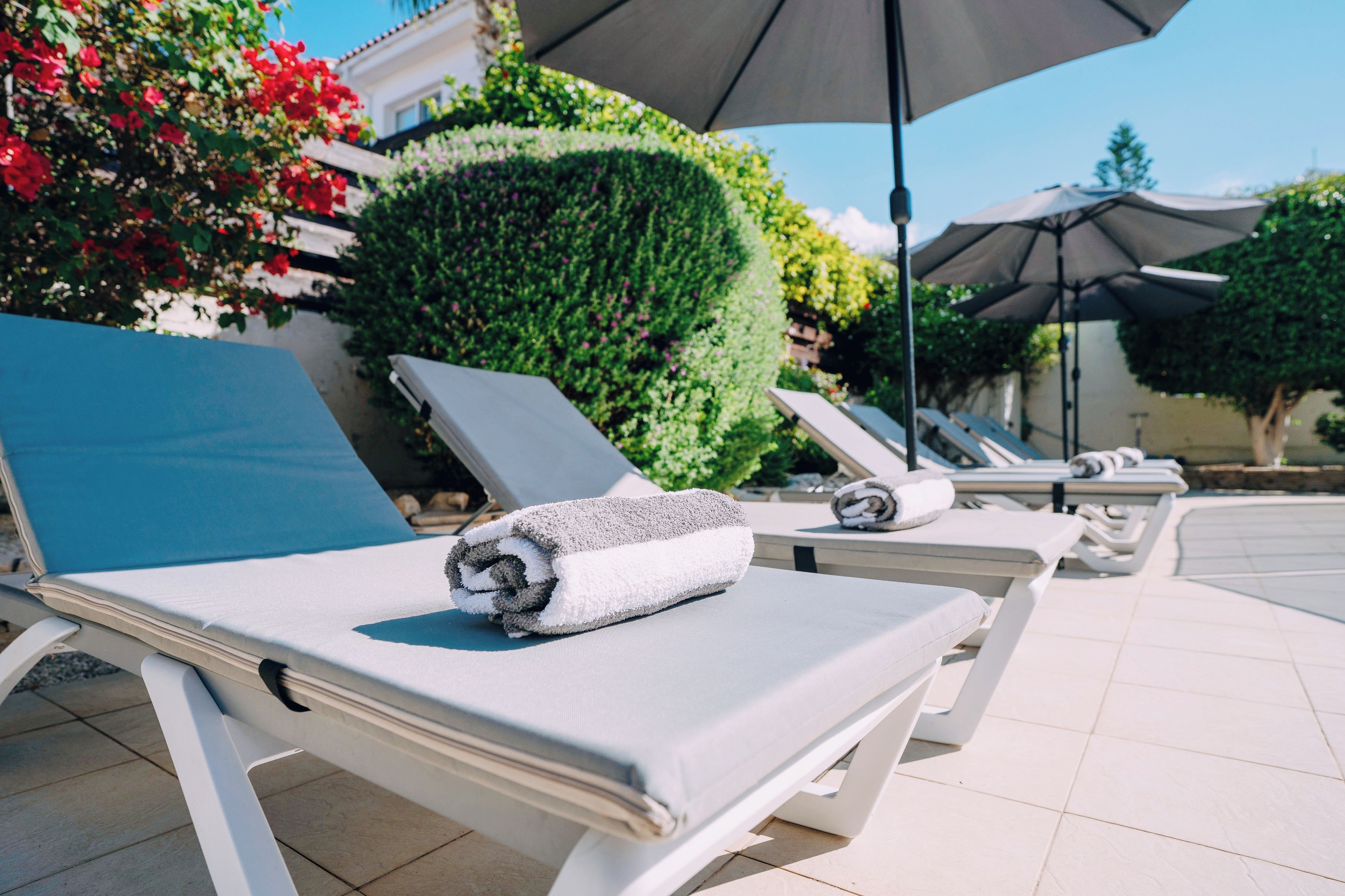 A row of sun loungers with towels, a hedge, and a clear sky.