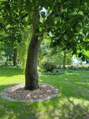 A tree with a circular mulch bed in a park. - Apartment in a Historic Hallenhaus on Butjadingen (Butjadingen)