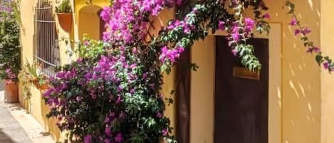 A building with a yellow facade, a metal gate, and a potted plant with purple flowers.