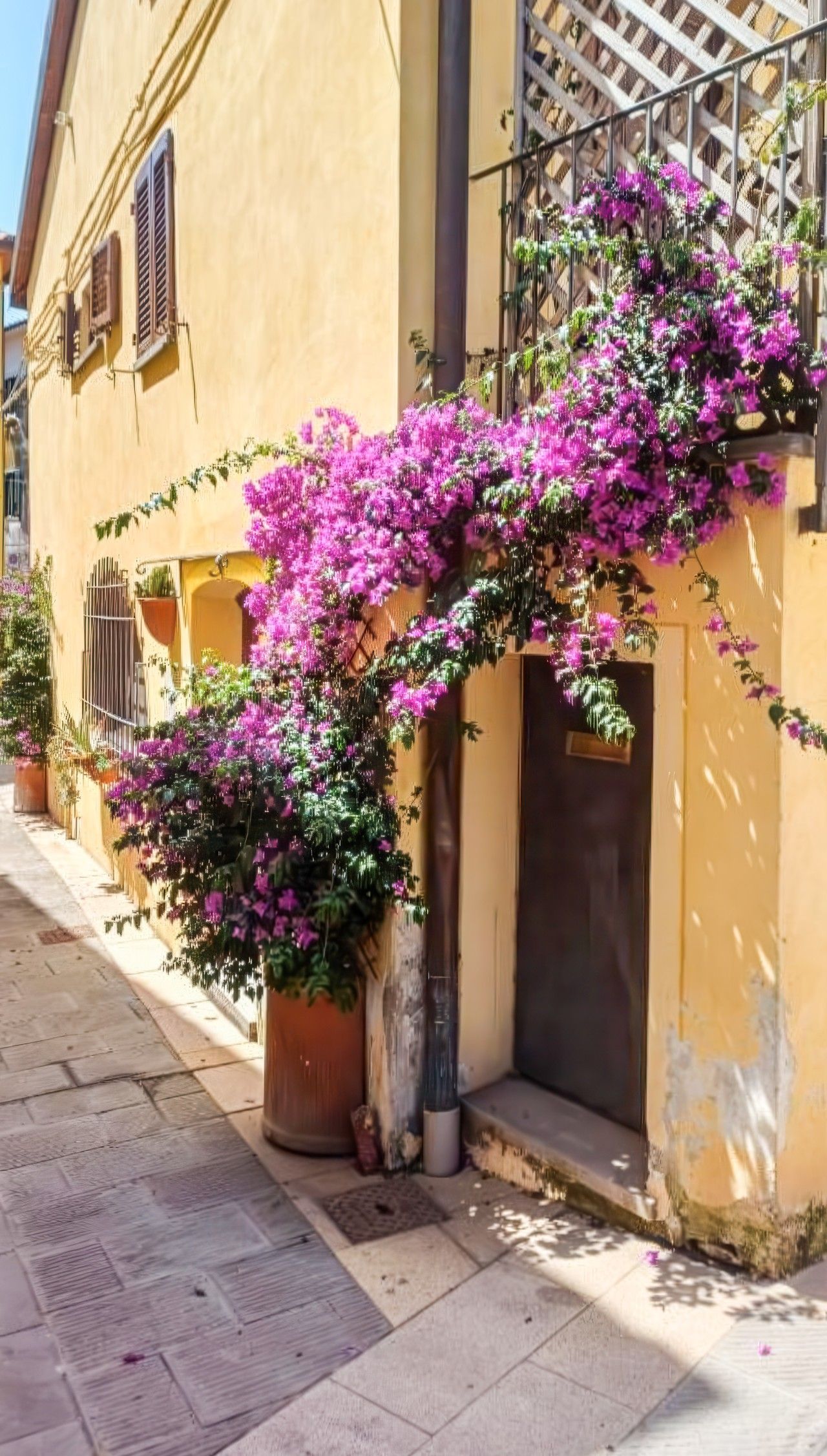 Ein Gebäude mit einer gelben Fassade, einer Holztür und einem Balkon mit violetten Blumen.