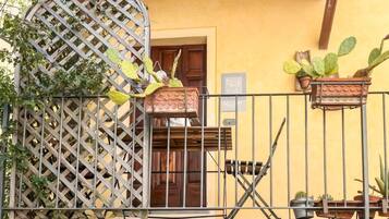 466_Il grillo_27