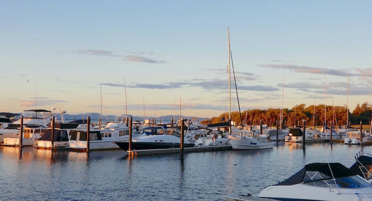 A marina with multiple boats docked, calm water, and a clear sky.