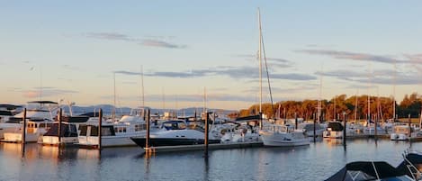 A marina with multiple boats docked, calm water, and a clear sky.