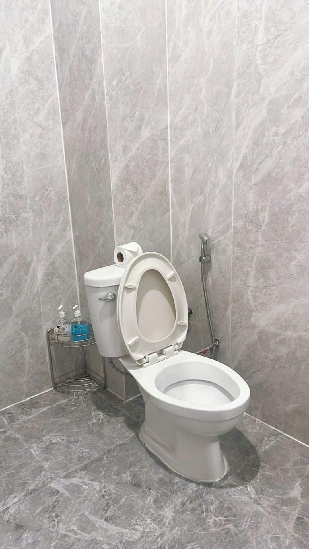 Une salle de bain équipée de toilettes, d’un sèche-mains et d’une pomme de douche.