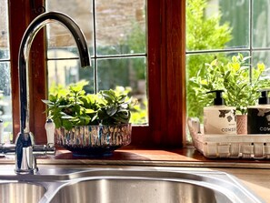 Un rentapeus de cuina amb un robinet, un bol decoratiu amb plantes, i una finestra amb vista a vegetació.