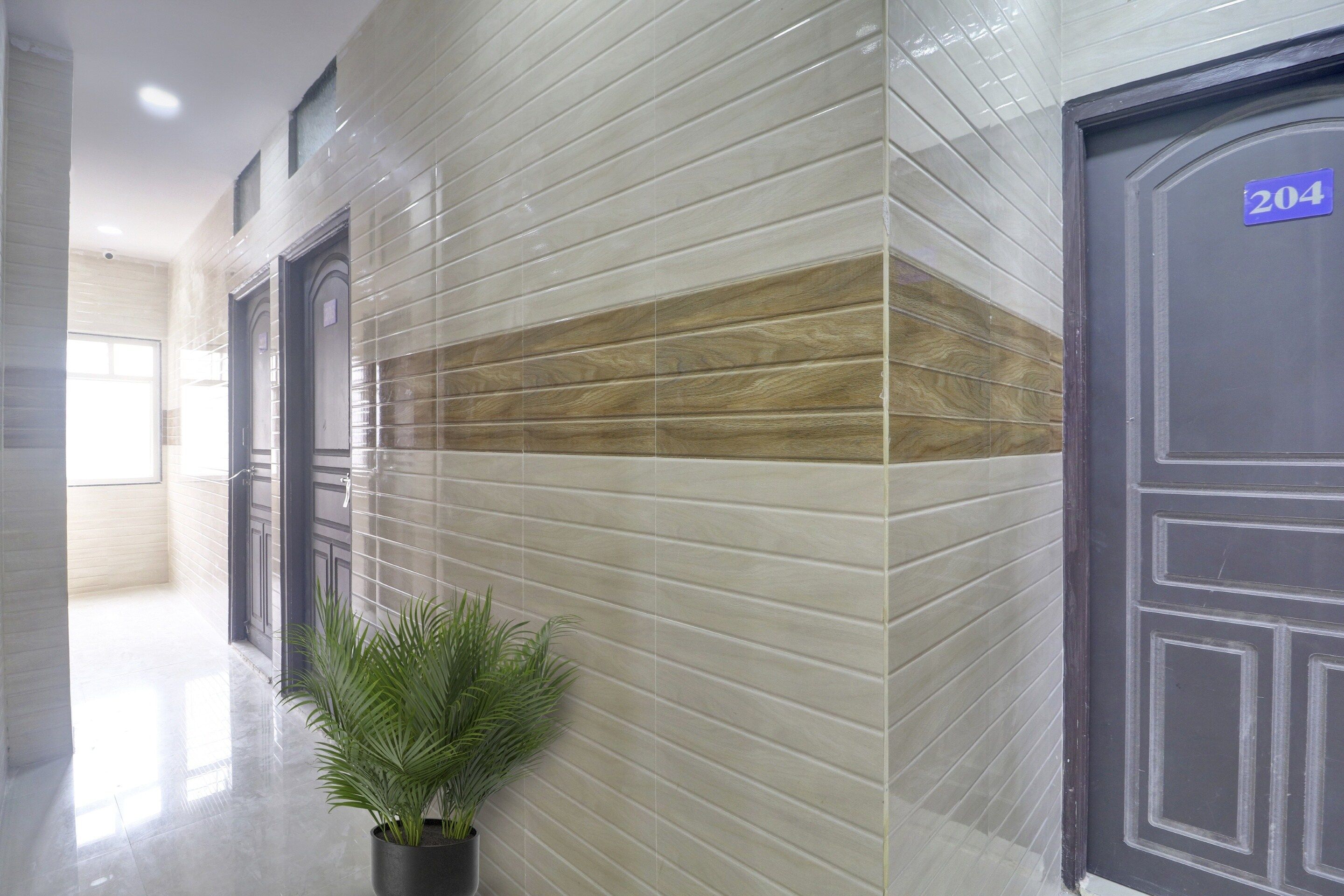 A hallway with a tiled wall, a potted plant, and a door marked with the number 204.