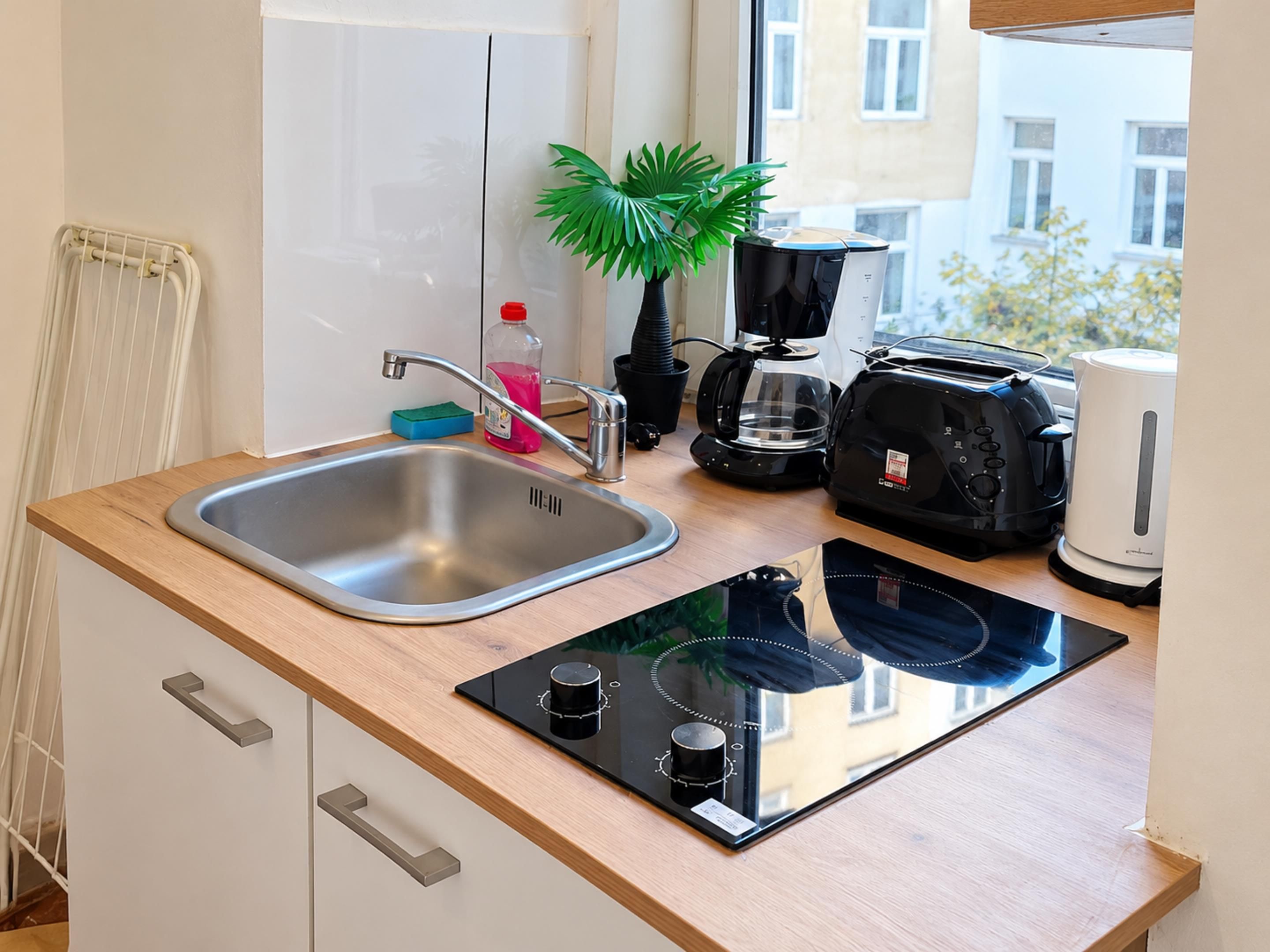 A modern kitchen with a stainless steel sink, a black induction cooktop, a coffee maker, a toaster, and a potted plant.