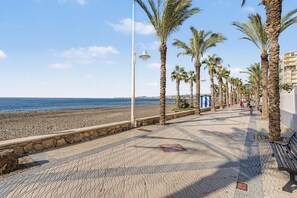 A paved walkway with palm trees, a beach, and a clear sky.