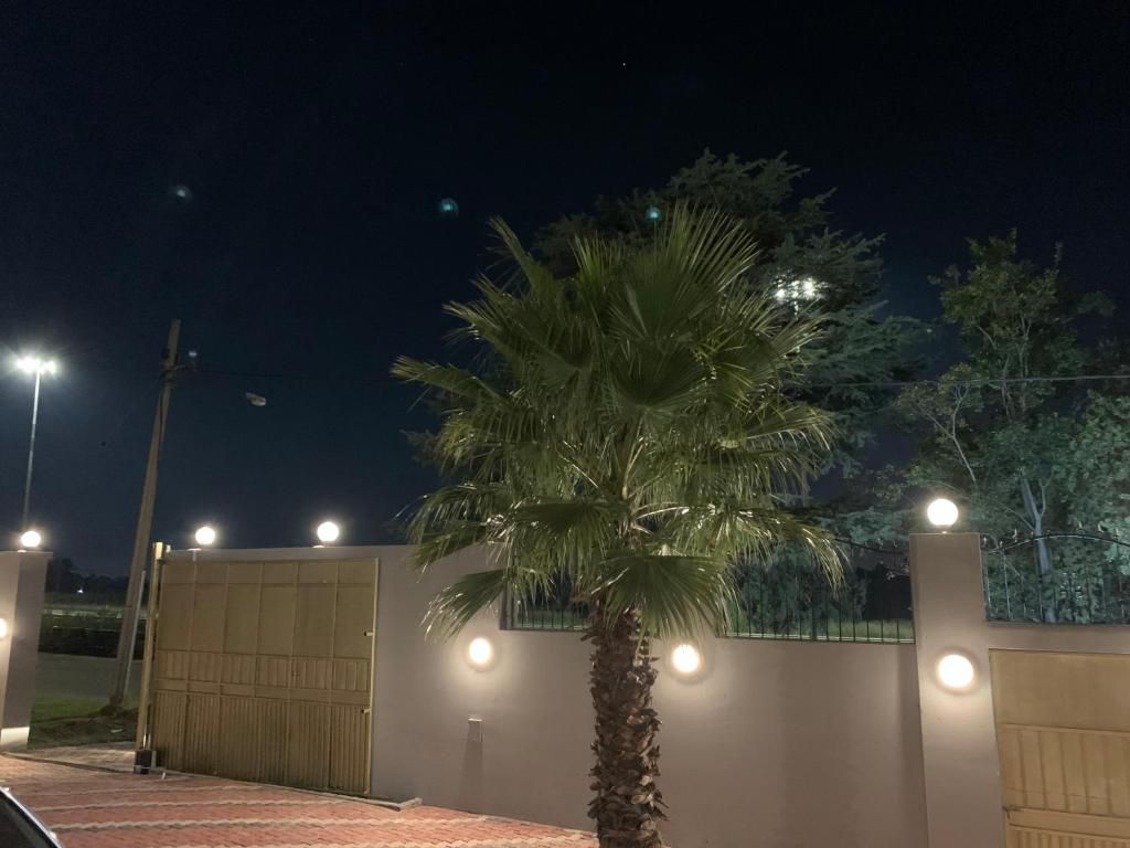 Una propiedad cerrada de noche, con una palmera y farolas.