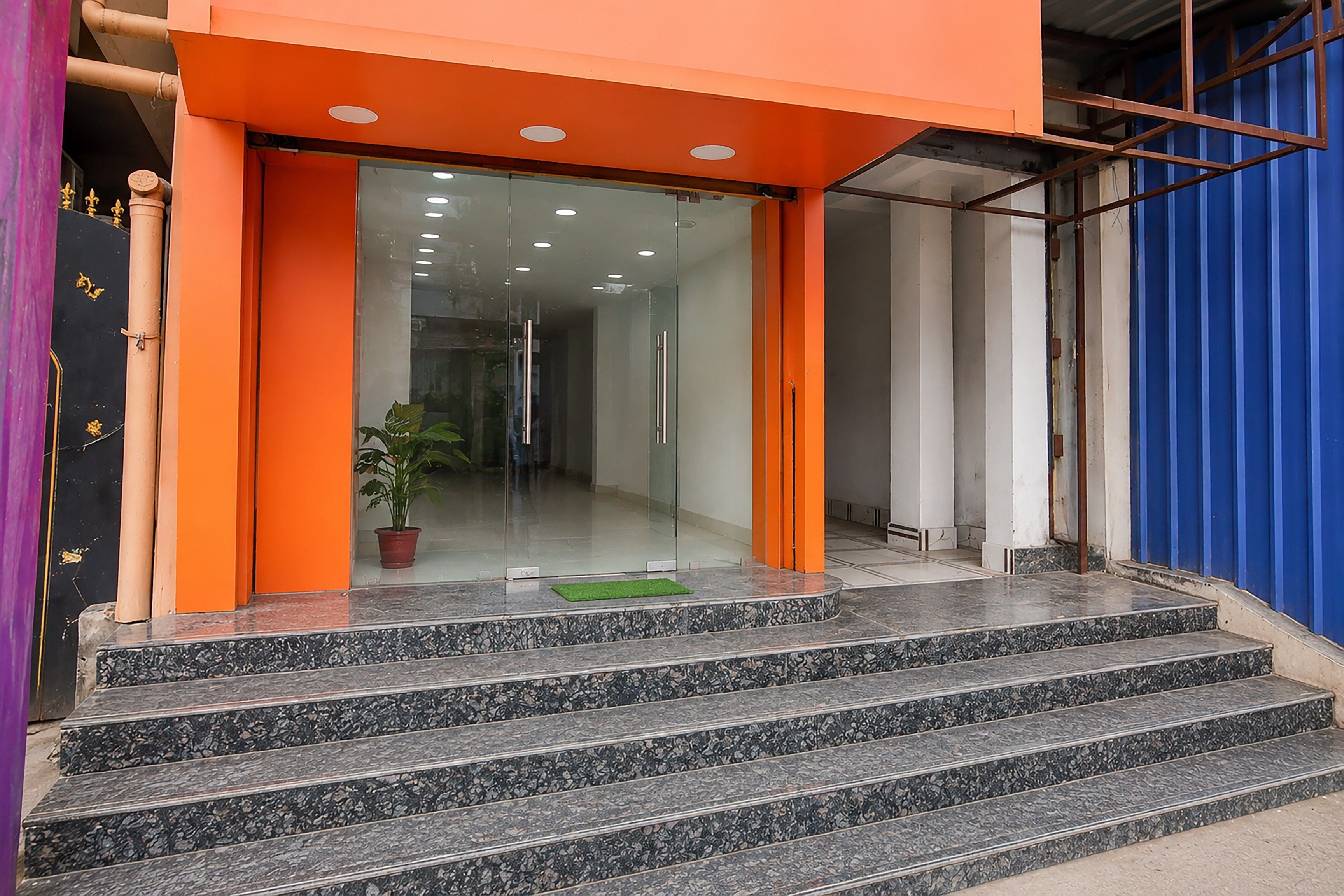 A building entrance with a glass door, a potted plant, and a set of stairs leading up to it.