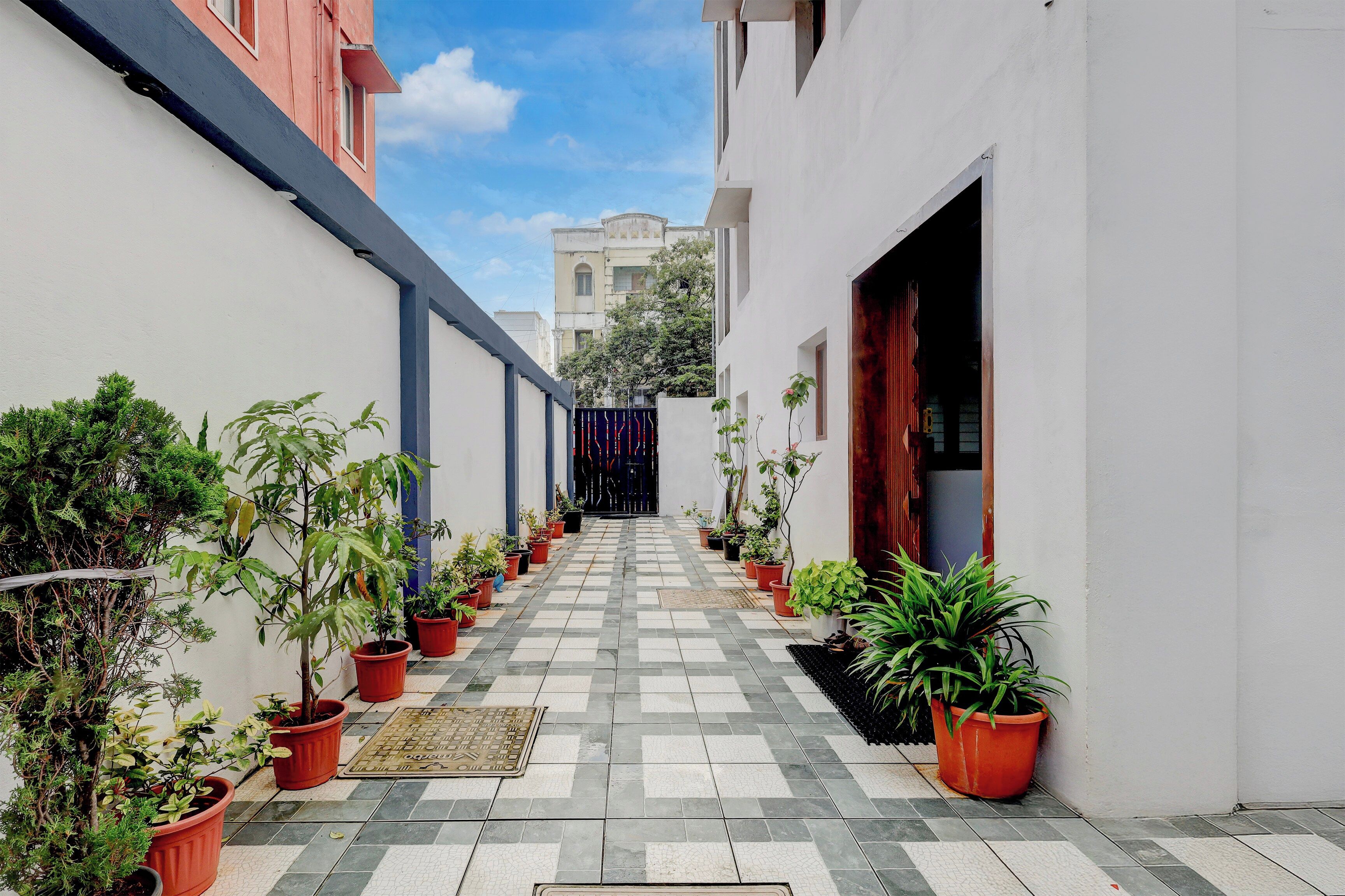 Un estrecho callejón flanqueado por macetas con plantas, que conduce a la entrada de un edificio.