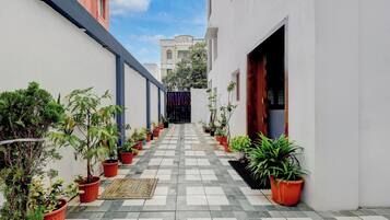 Un estrecho callejón flanqueado por macetas con plantas, que conduce a la entrada de un edificio.