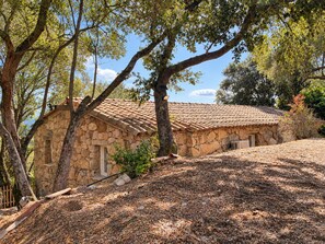 A stone building with a tiled roof, surrounded by trees and a dry leaf-covered ground. - Bergerie Murtinella (Olmeto)