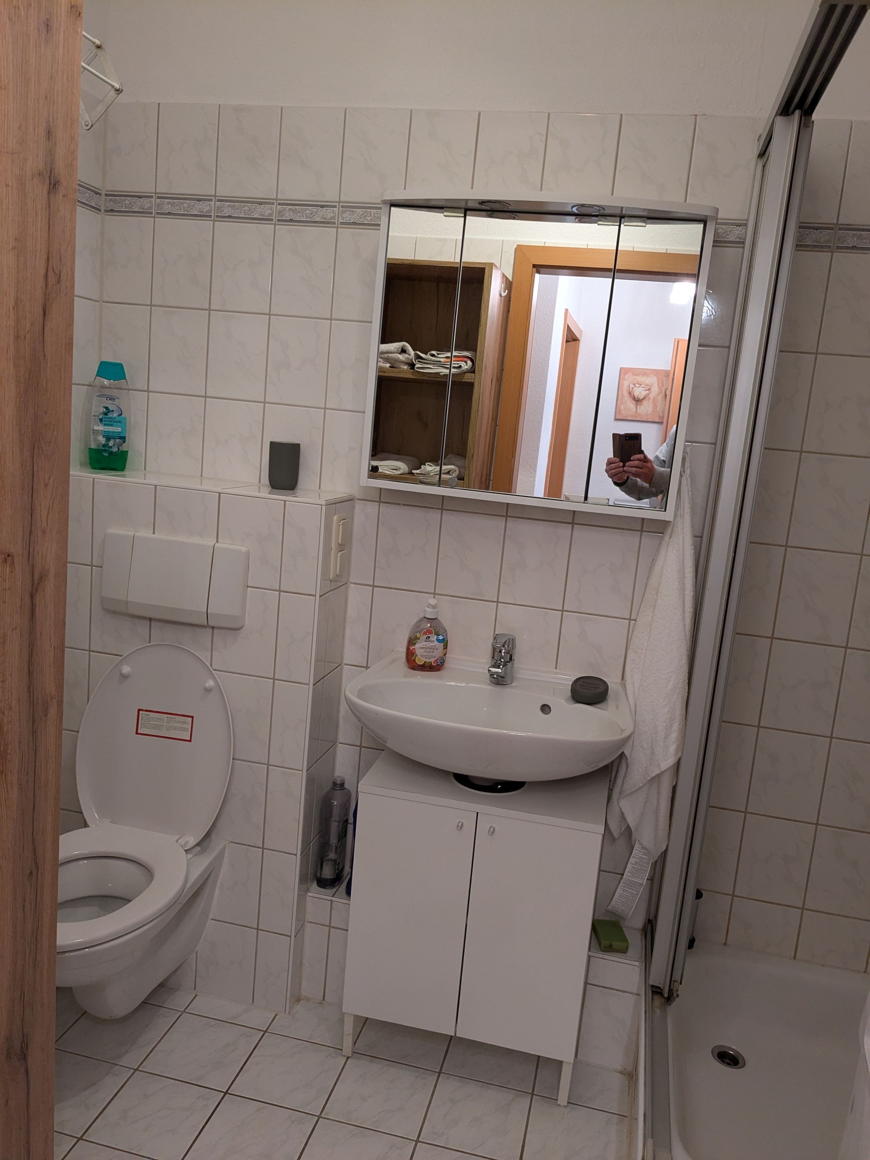 A compact bathroom with a toilet, sink, and shower.