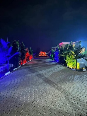 A paved pathway leading to a building with illuminated structures and foliage.