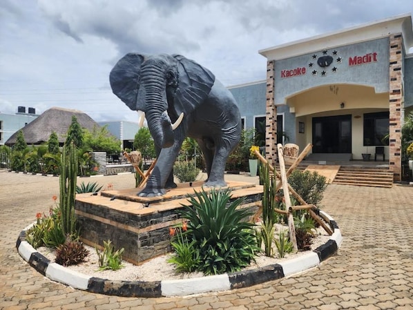 A large elephant statue in front of a building with a sign that reads 'Kacoke Madit'.
