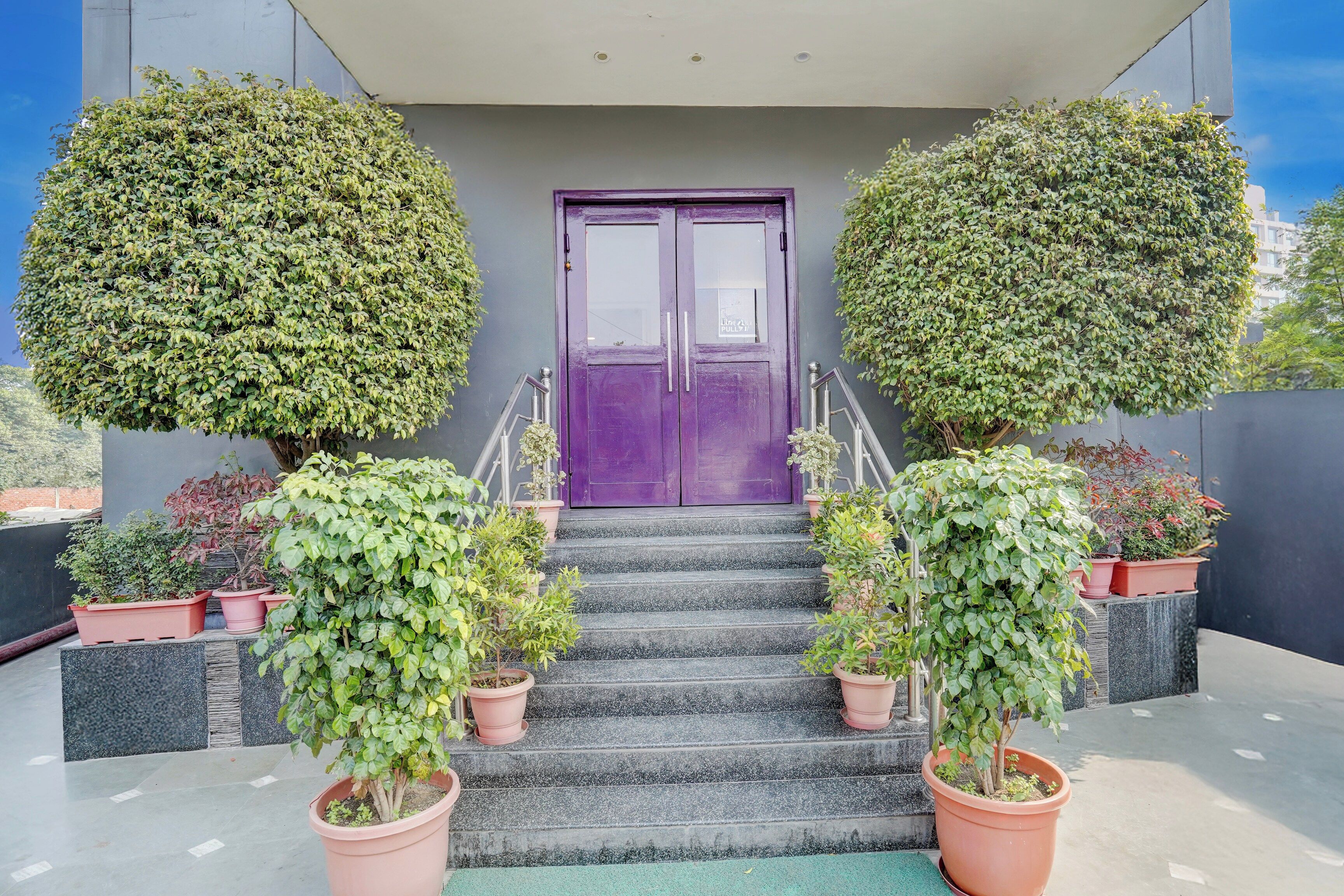 A building entrance with a purple door, a set of stairs leading up to it, and potted plants on either side.