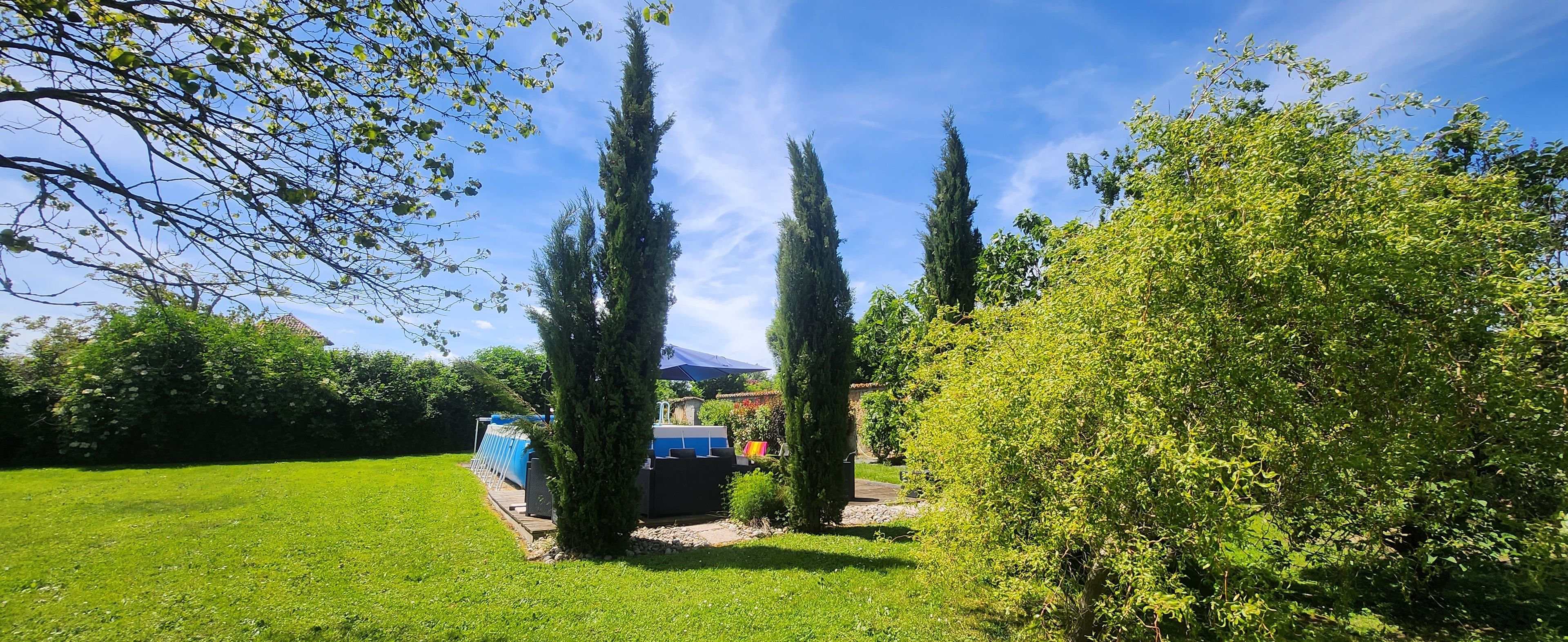 A garden with a lawn, tall trees, and a blue structure.