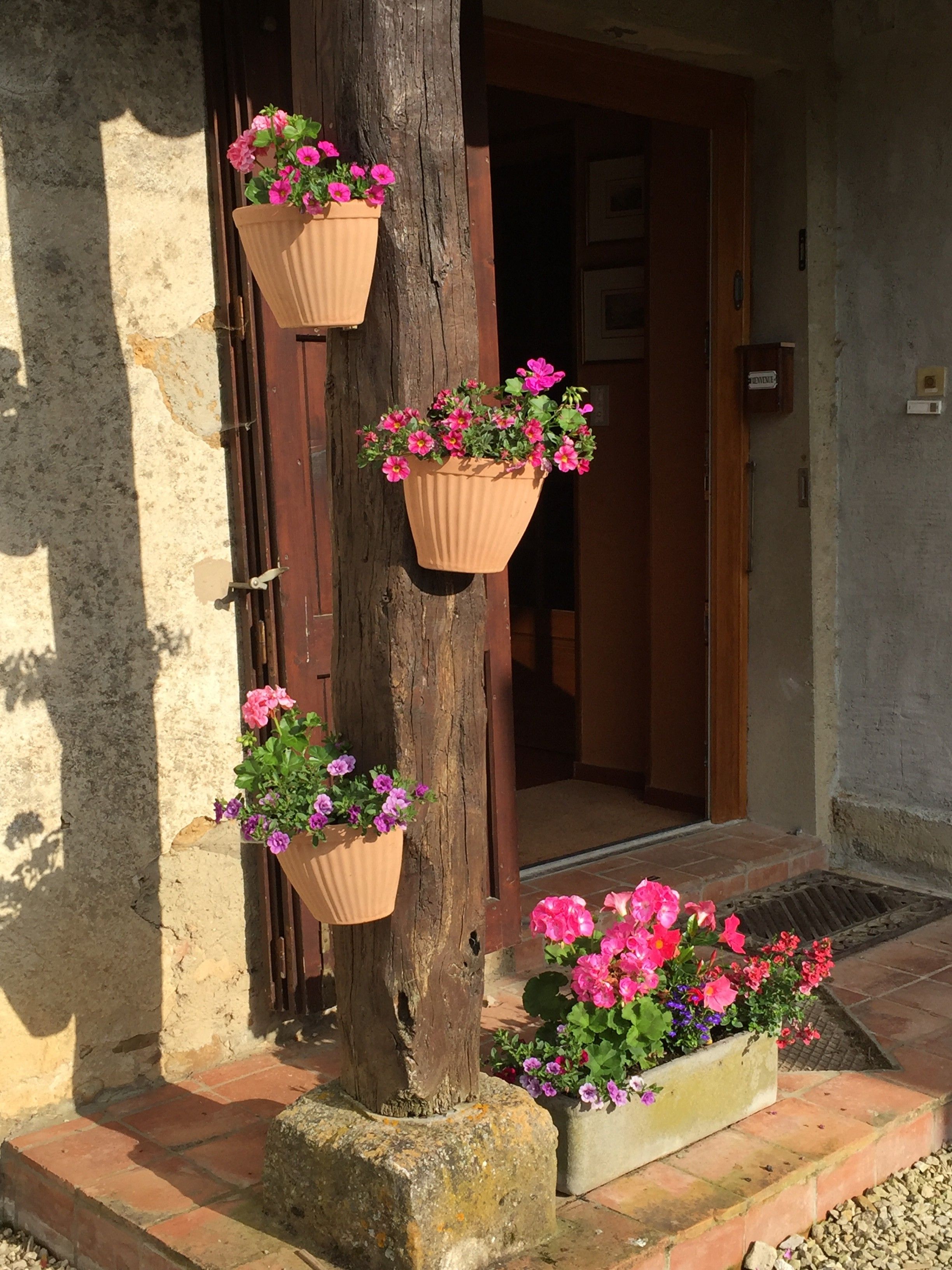 A wooden door with a hanging flower pot on the left side.
