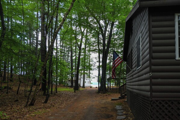 A cabin with a dirt path leading to it, surrounded by tall trees. - New for 2026! Two Cottages on Sebago Lake w/ 160’ of Shoreline & Sunset Views (Naples)