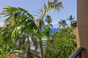 Property grounds - Kona Makai 3-304 Top Floor, Ocean View, Sleeps 6, Has Loft! (Kailua Kona)