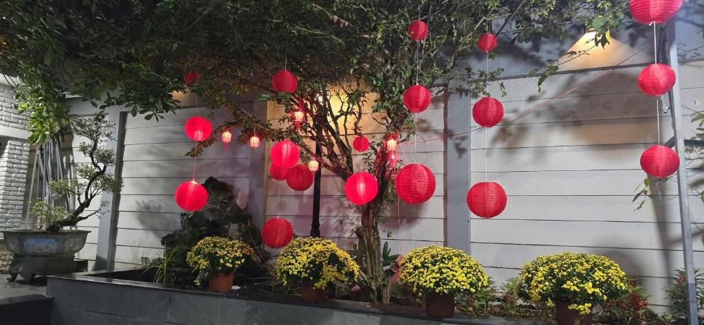 Un jardín con plantas en macetas y faroles rojos.