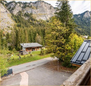 Property grounds - Les trois Sophie I T2 I Morzine (Morzine)