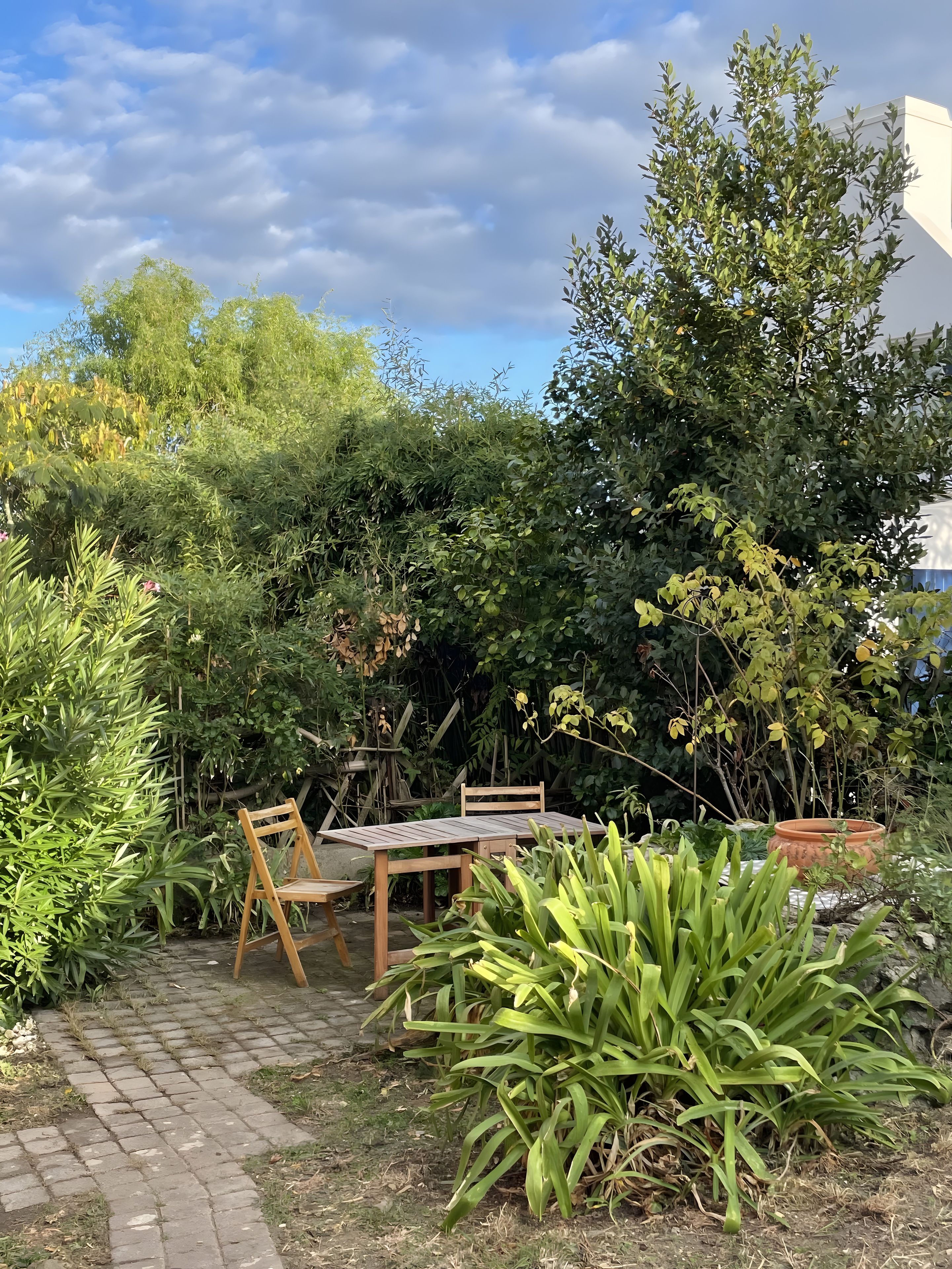 A garden with a paved pathway, wooden furniture, and various plants.
