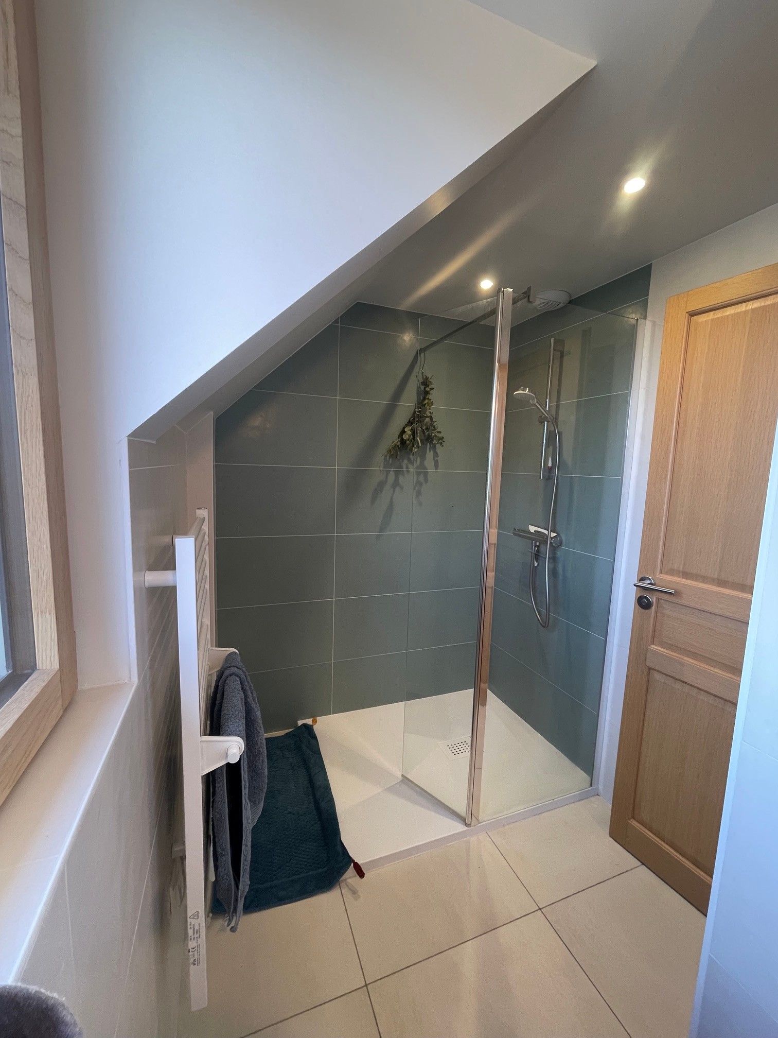 A modern bathroom with a glass shower enclosure, a wooden door, and a towel rack.