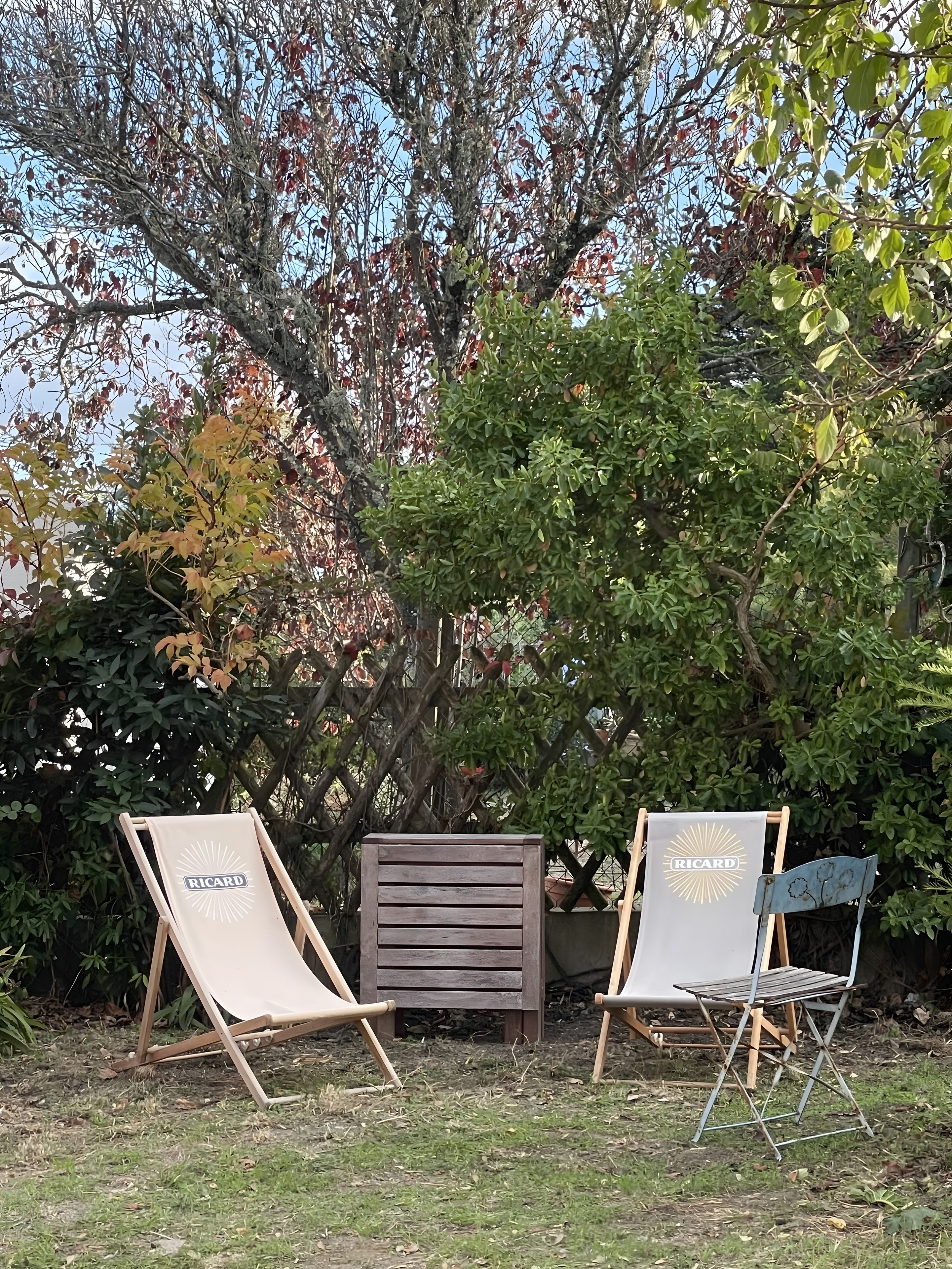 Zwei Liegestühle mit 'RICARD'-Branding, platziert unter einem Baum mit grünen und herbstlich gefärbten Blättern.