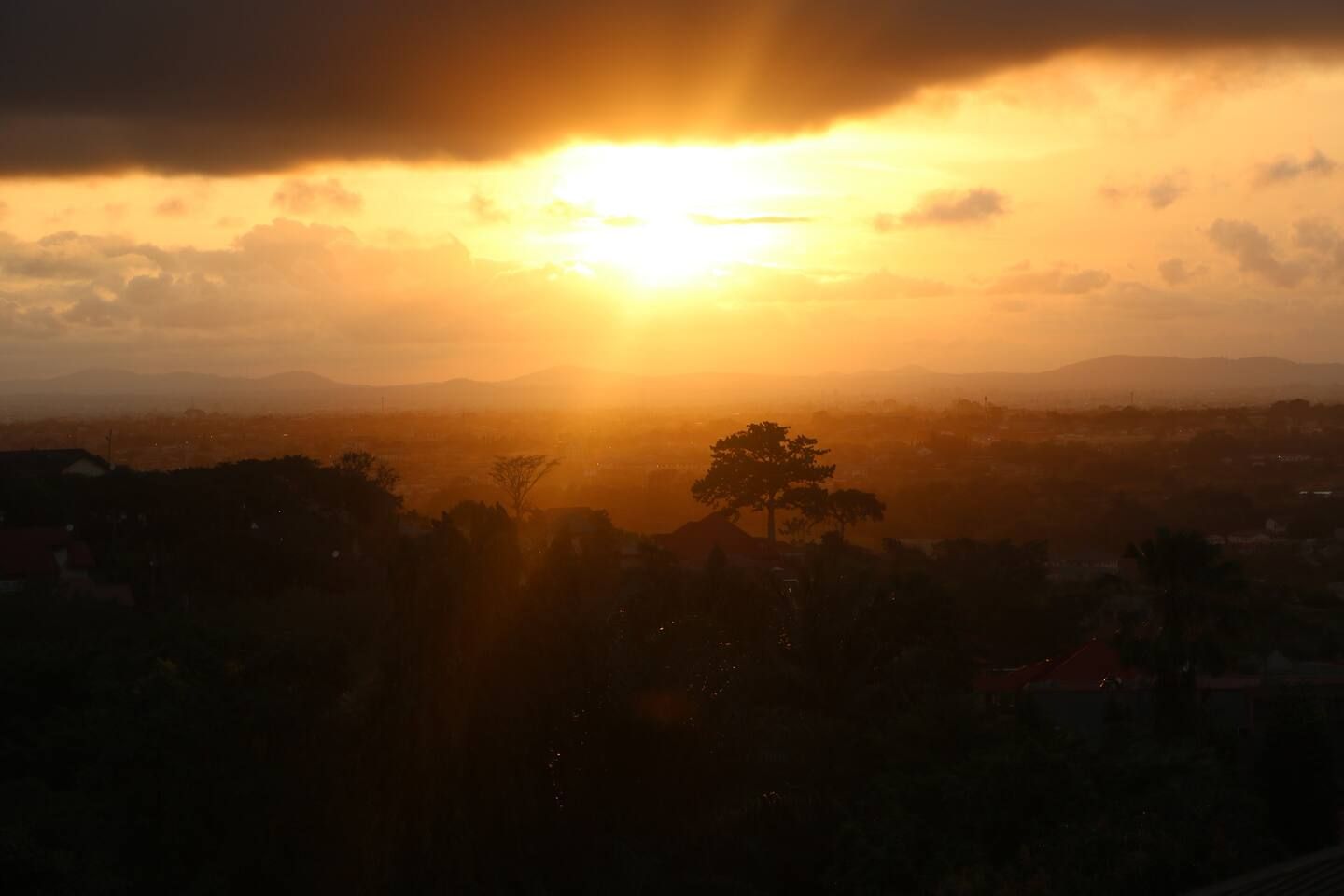 A sunset over a cityscape with buildings and trees.