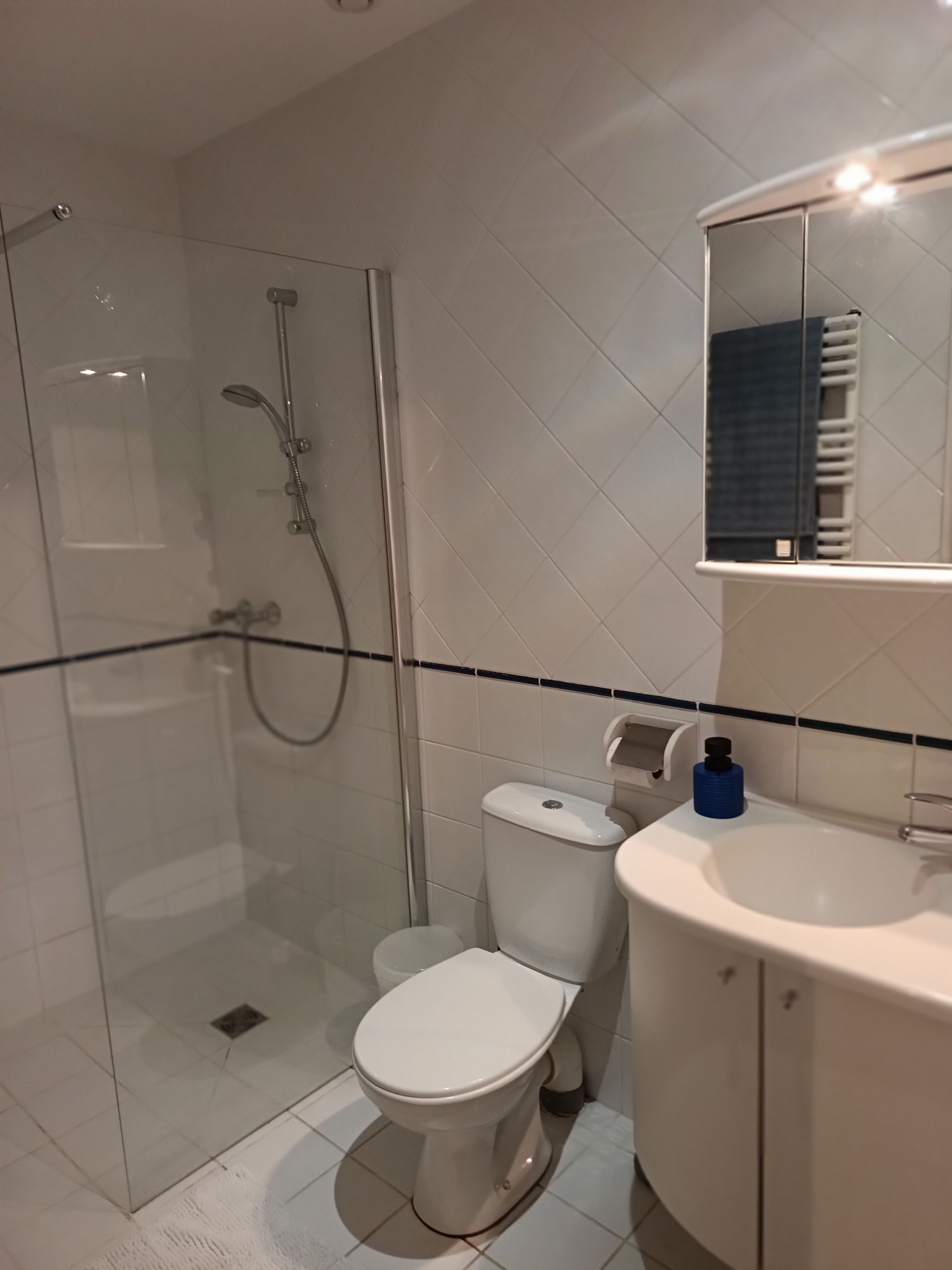 Une salle de bain moderne avec une douche à parois de verre, des toilettes et un lavabo avec un miroir au-dessus.