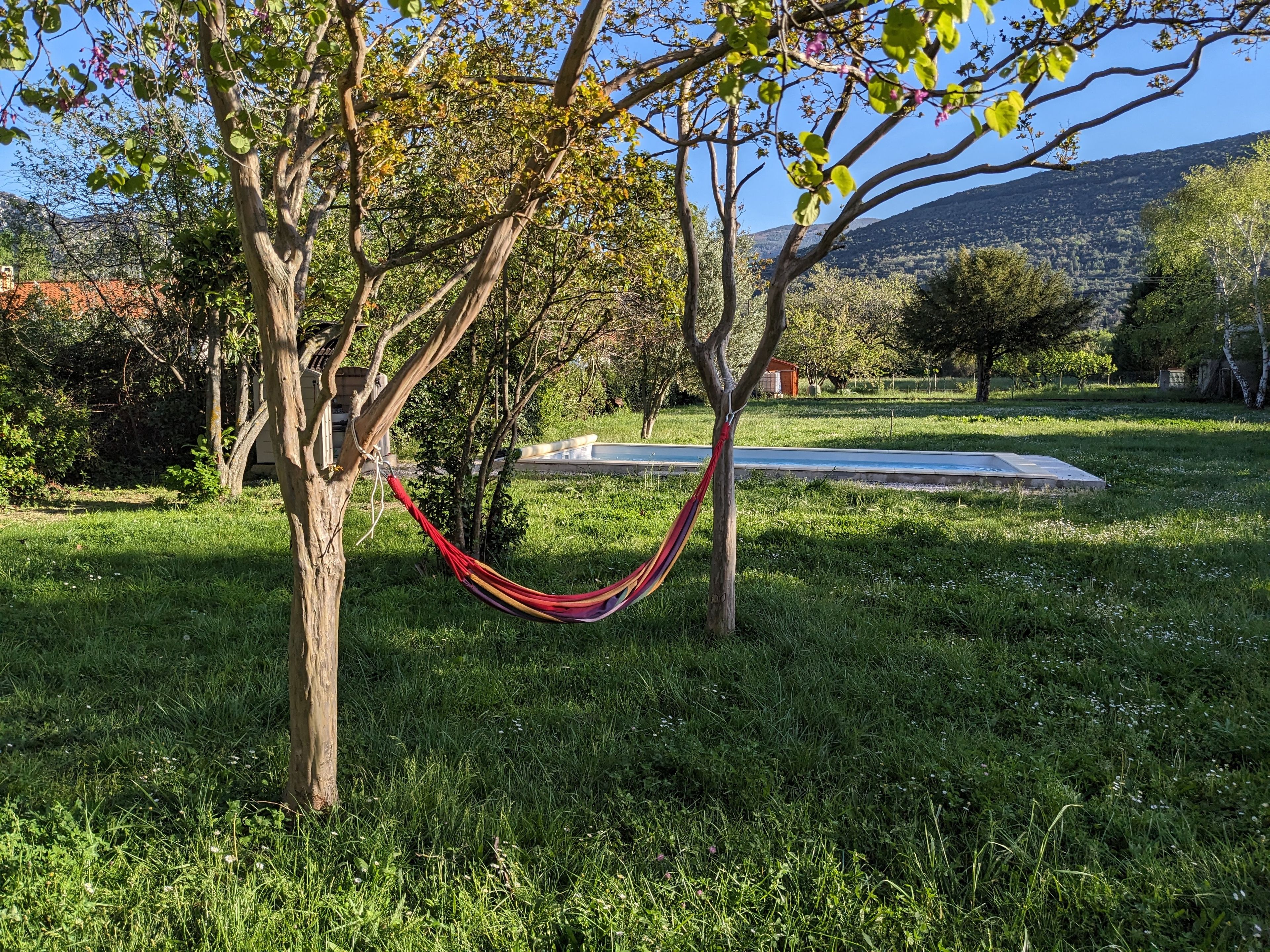 Una cadira espanyola lligada entre dos arbres en una zona verda amb una piscina al fons.