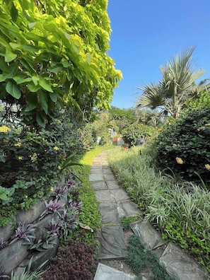 A stone pathway through a lush garden with various plants and a clear blue sky. - Garden suite 301 (Adenta Municipality)